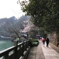 诸暨市旅游景區(qū)(浙江诸暨旅游必去十大景点)