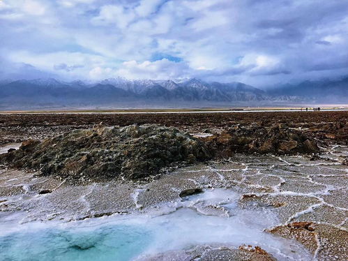 关于青海旅游的文(wén)案