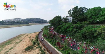 花(huā)都芙蓉旅游度假區(qū)怎么去