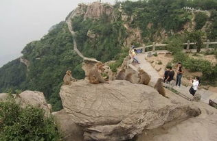 连云港花(huā)果山(shān)旅游住哪里