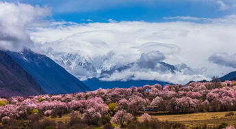 林芝旅游价格(林芝旅游大概要花(huā)多(duō)少钱)